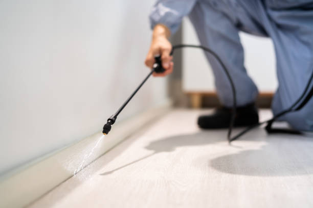 Rodent Entry Point Assessment in Drum Point