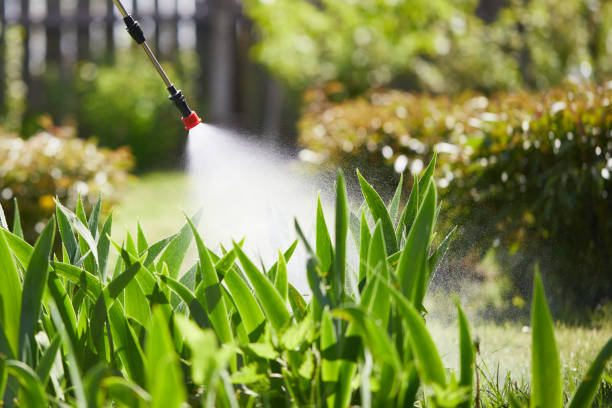 Tamper-Resistant Bait Stations for Rodents in Drum Point