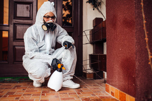 Attic and Crawl Space Rodent Treatment in Drum Point